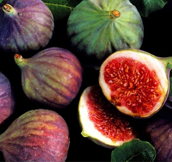 Dried Figs + Types of figs