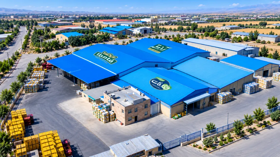 golden raisins suppliers