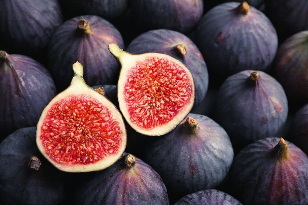Dates vs Figs