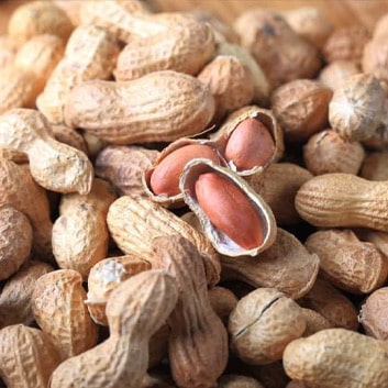Iranian-peanuts