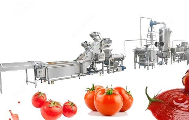 tomato processing line