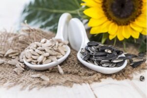Calories in Sunflower Seeds: A Comprehensive Guide