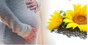 Sunflower Seeds during Pregnancy