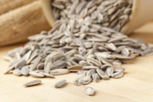 The Dark Side of Sunflower Seeds: Exploring the Disadvantages and Side Effects