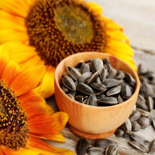 sunflower seeds benefits for female hormones