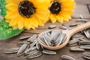 How many sunflower seeds per day?
