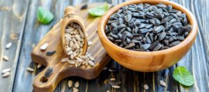 Exploring Sunflower Seeds: A Protein and Magnesium Analysis