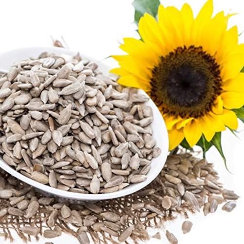 Getting to Know Medicinal Uses of Sunflower Seeds