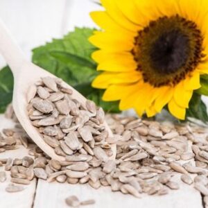 Are sunflower seeds a good source of protein?