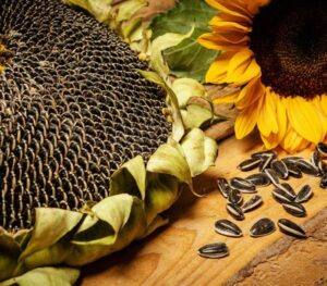 sunflower seeds in shell nutrition facts 