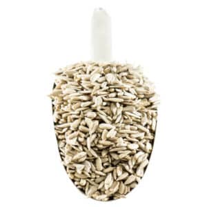 Sunflower Seeds In Shell Nutrition Facts