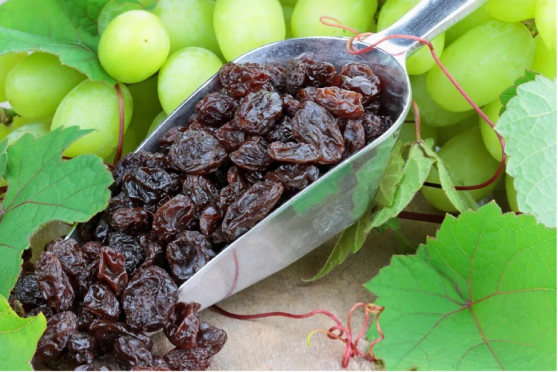 prunes vs raisins for constipation