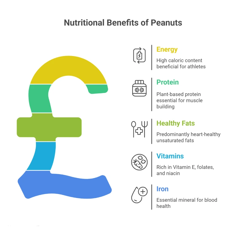 Nutritional Benefits of Peanuts