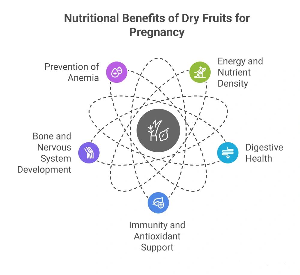 The Benefits of Dry Fruits in Pregnancy