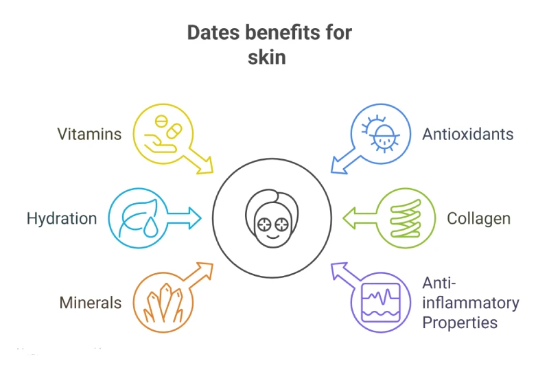 Dates Benefits for Skin