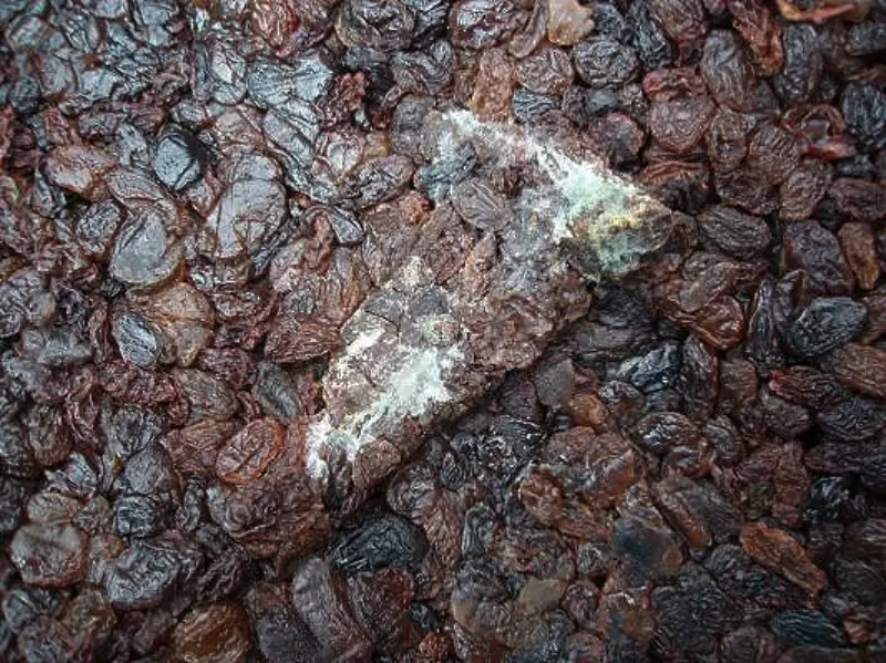 What Happens If You Eat Moldy Raisins