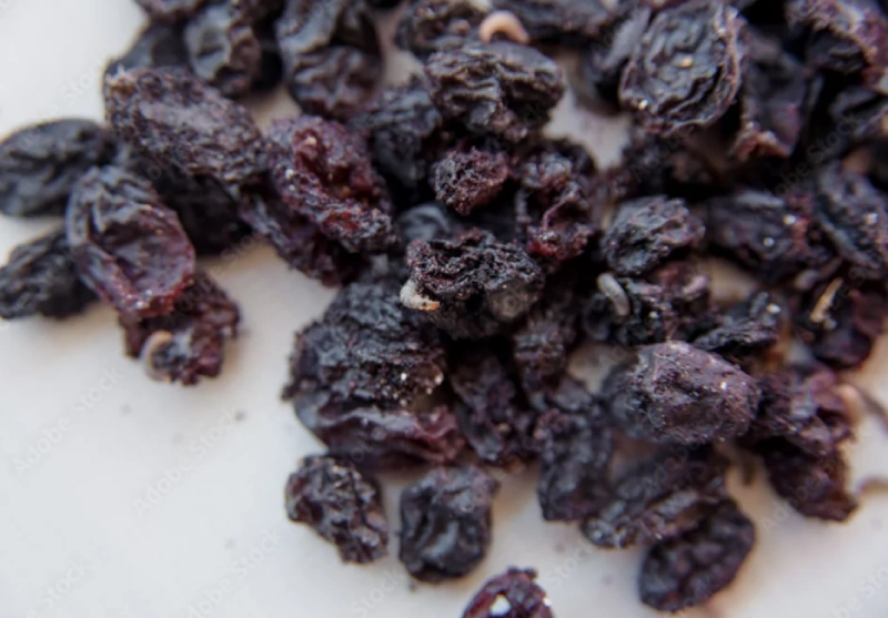 Safety and Disposal of Moldy Dried Fruit