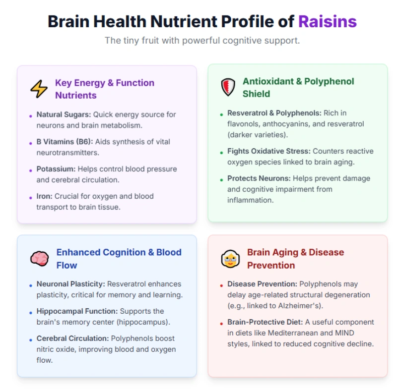 Are raisins good for brain health