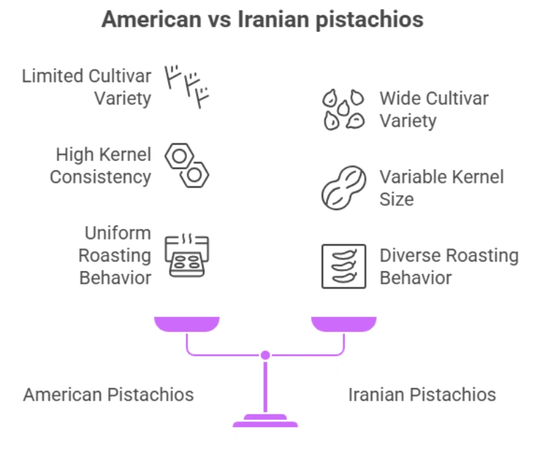 Infographic american vs Iranian pistachios