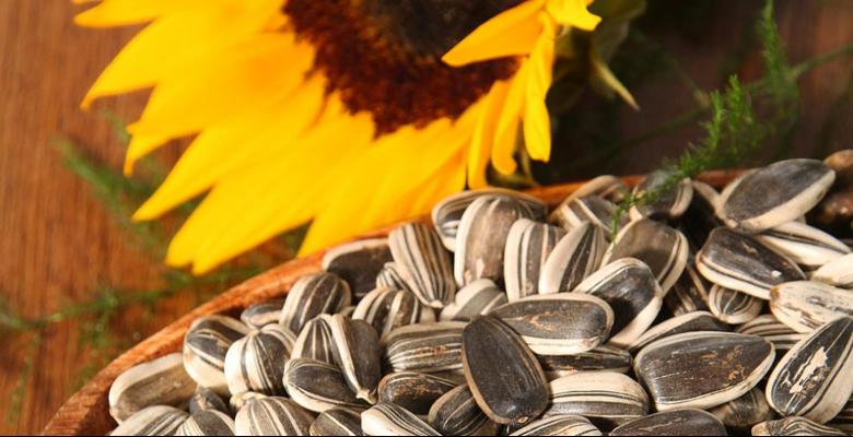 Are sunflower seeds good before a workout?